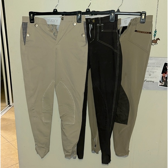 Equestrian riding and schooling breeches - Picture 1 of 12